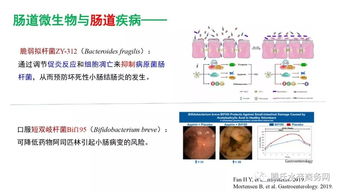 王高學 腸道微生物與動物健康——水產微生態制劑研究應用現狀與趨勢丨2019水產動保配方師大會報告①